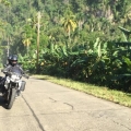 east cuba banana road