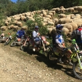 enduroreise rumanien viaduro
