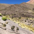 argentinia landscape