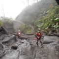 8 tage costa Rica foggy jungle